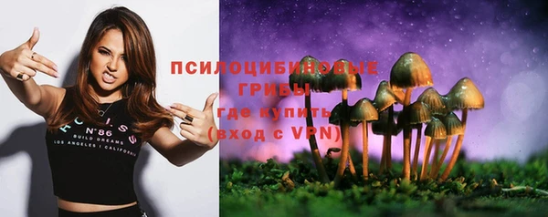 эйфоретик Майский