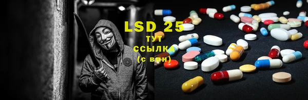 PSILOCYBIN Магадан