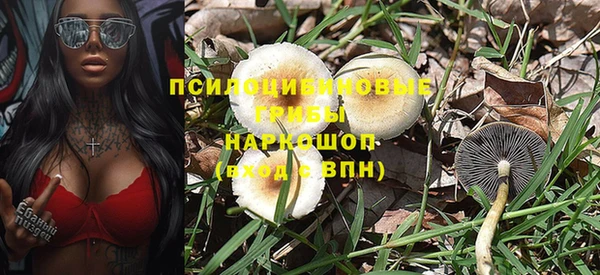 PSILOCYBIN Магадан