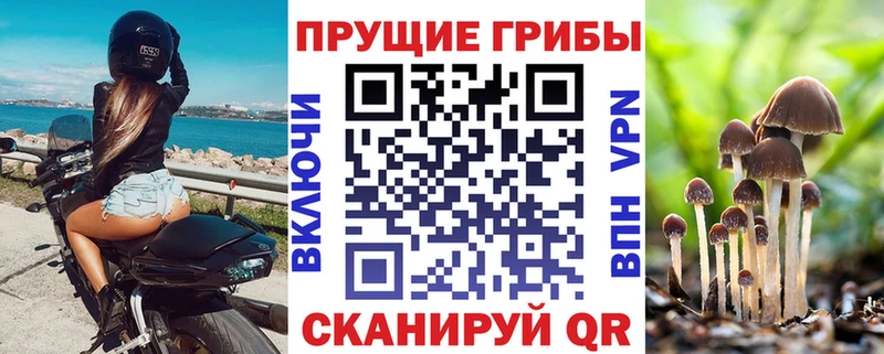 Псилоцибиновые грибы GOLDEN TEACHER  купить   Удачный 